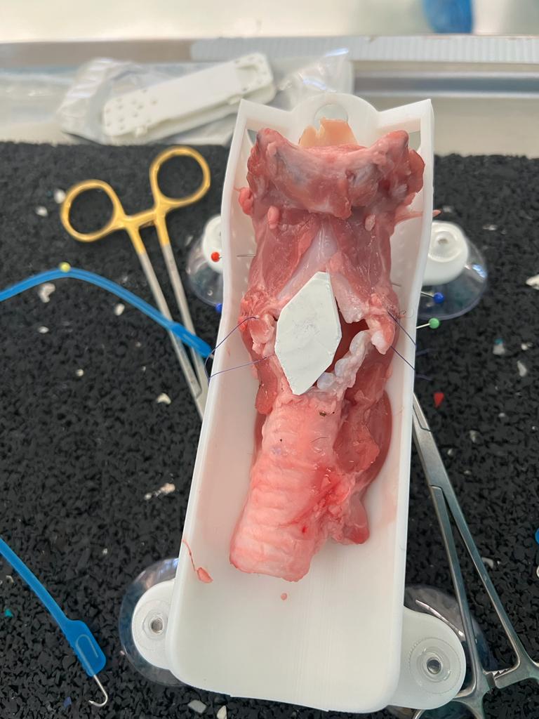 LTR and CTR Training with 3D Larynx Trainer Holder