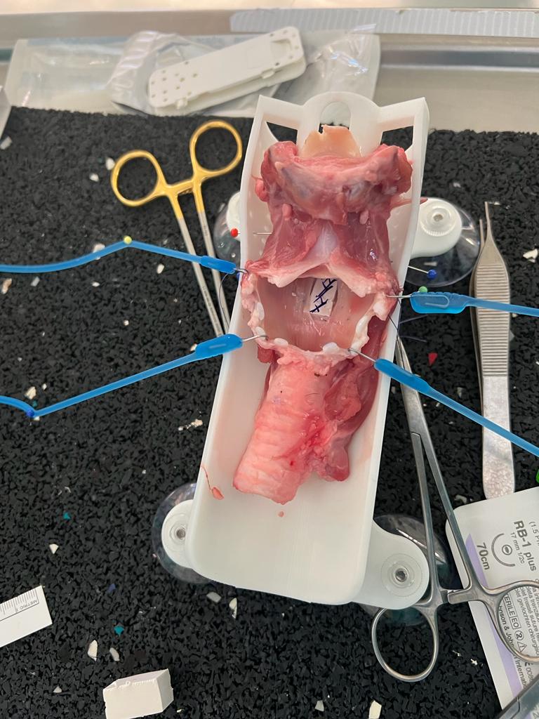 LTR and CTR Training with 3D Larynx Trainer Holder a