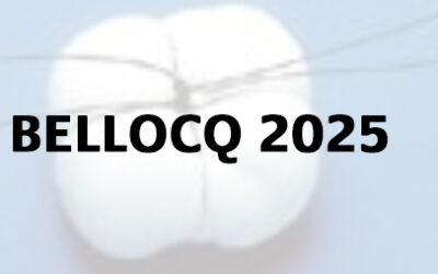 Bellocq | Doorn | 14-15 November