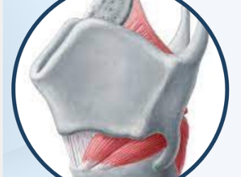 3rd Midlands Laryngology Workshop | 18-19 June ’26 | Slough